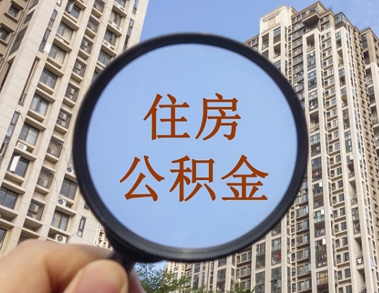 查询公积金-东营公积金代办平台